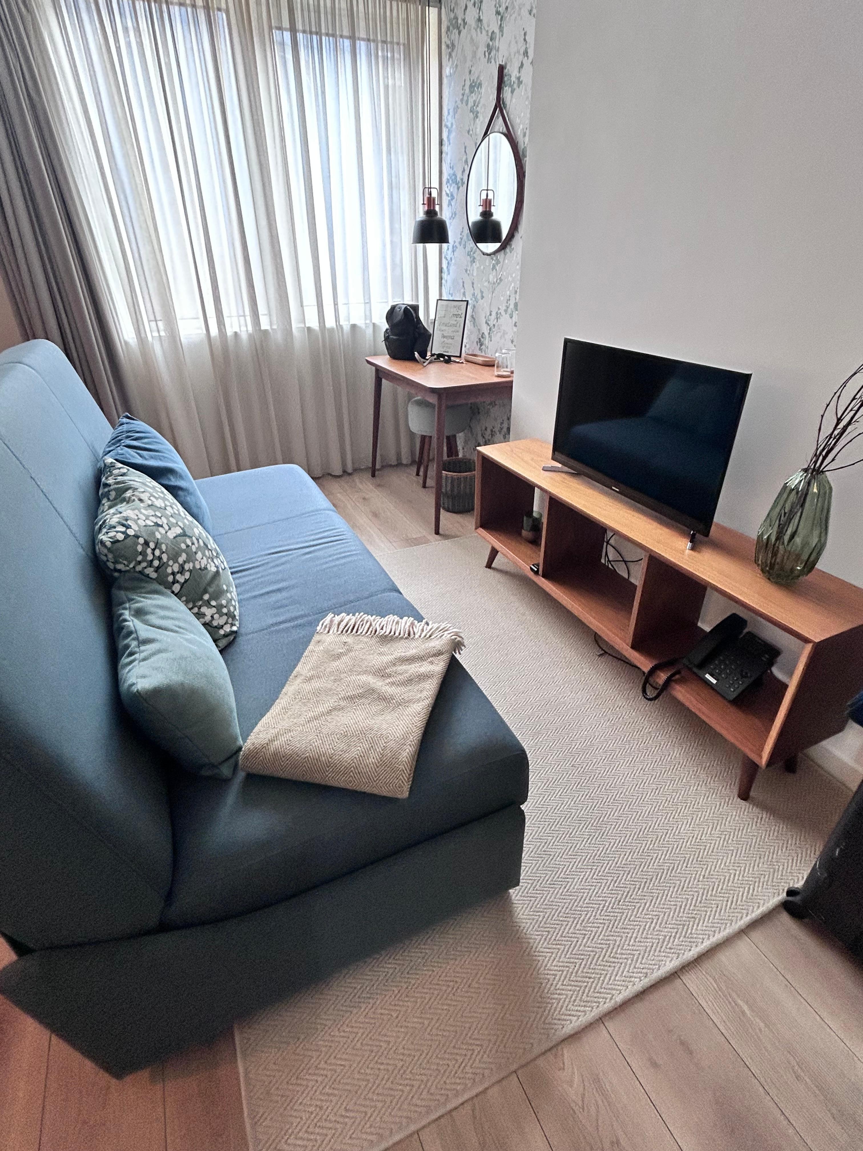 Living room was so nicely furnished