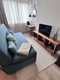 Living room was so nicely furnished