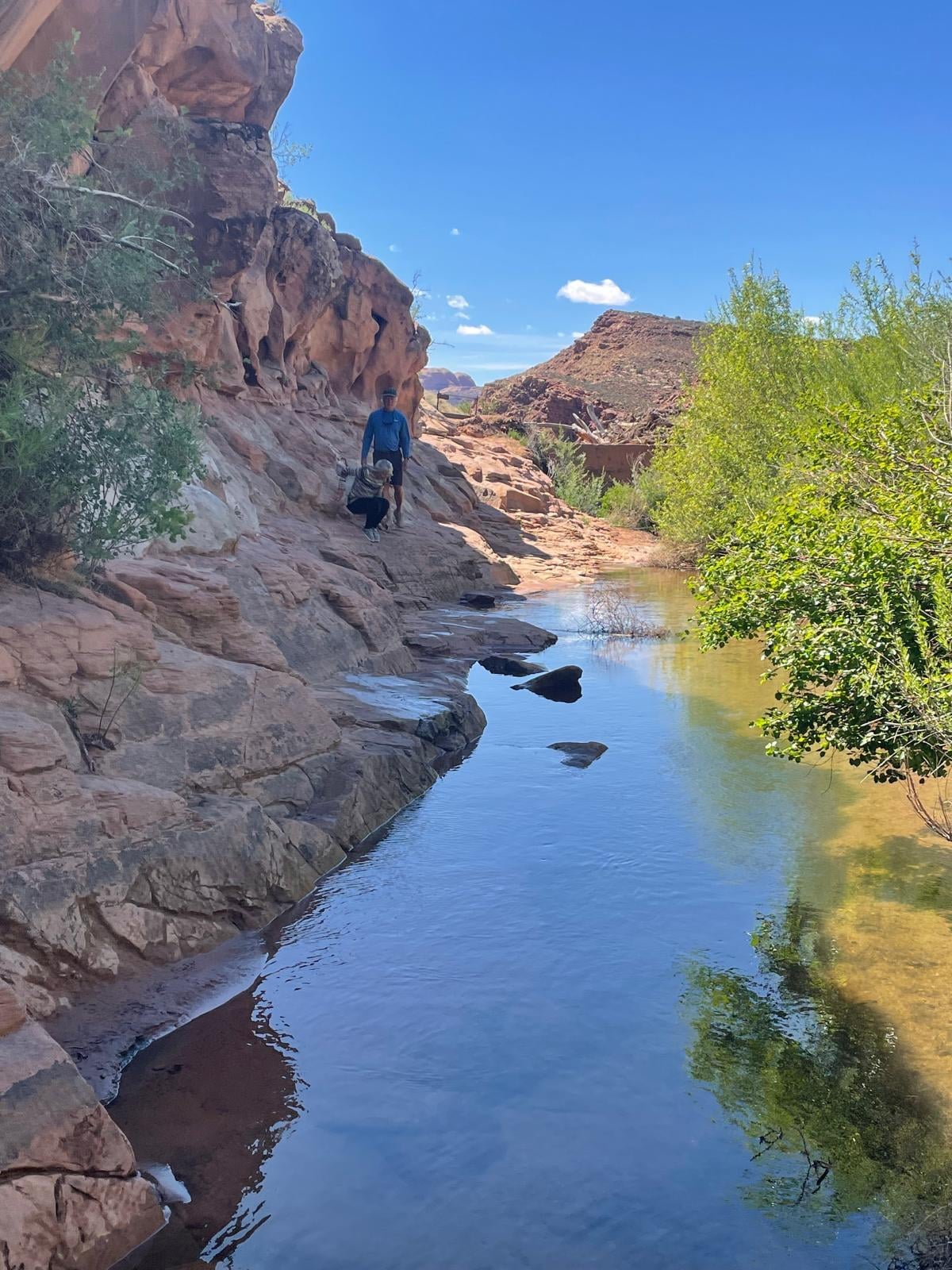 Mill Creek Trail was beautiful, with water all along the way.
