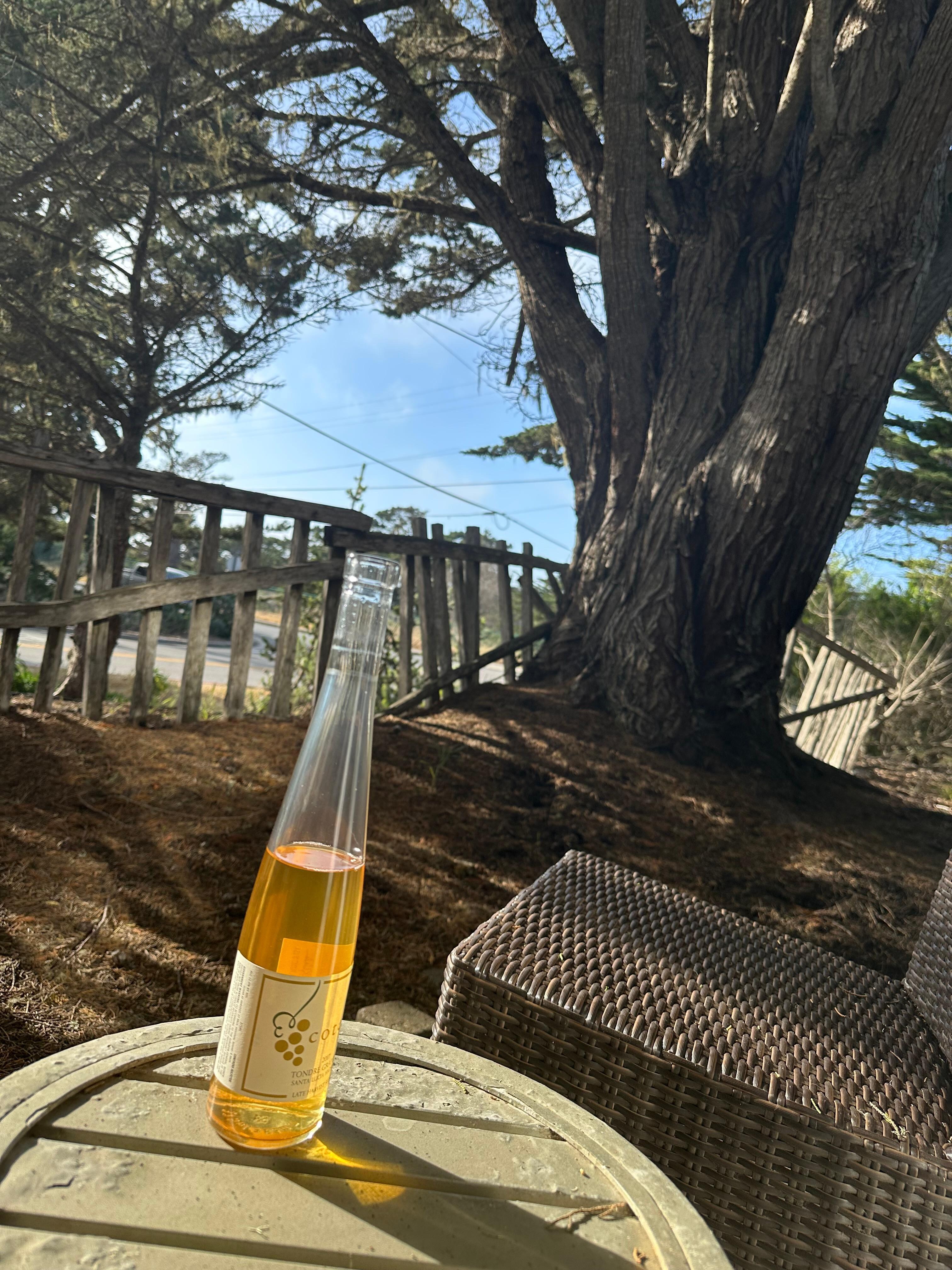 Enjoying a birthday libation on the patio 