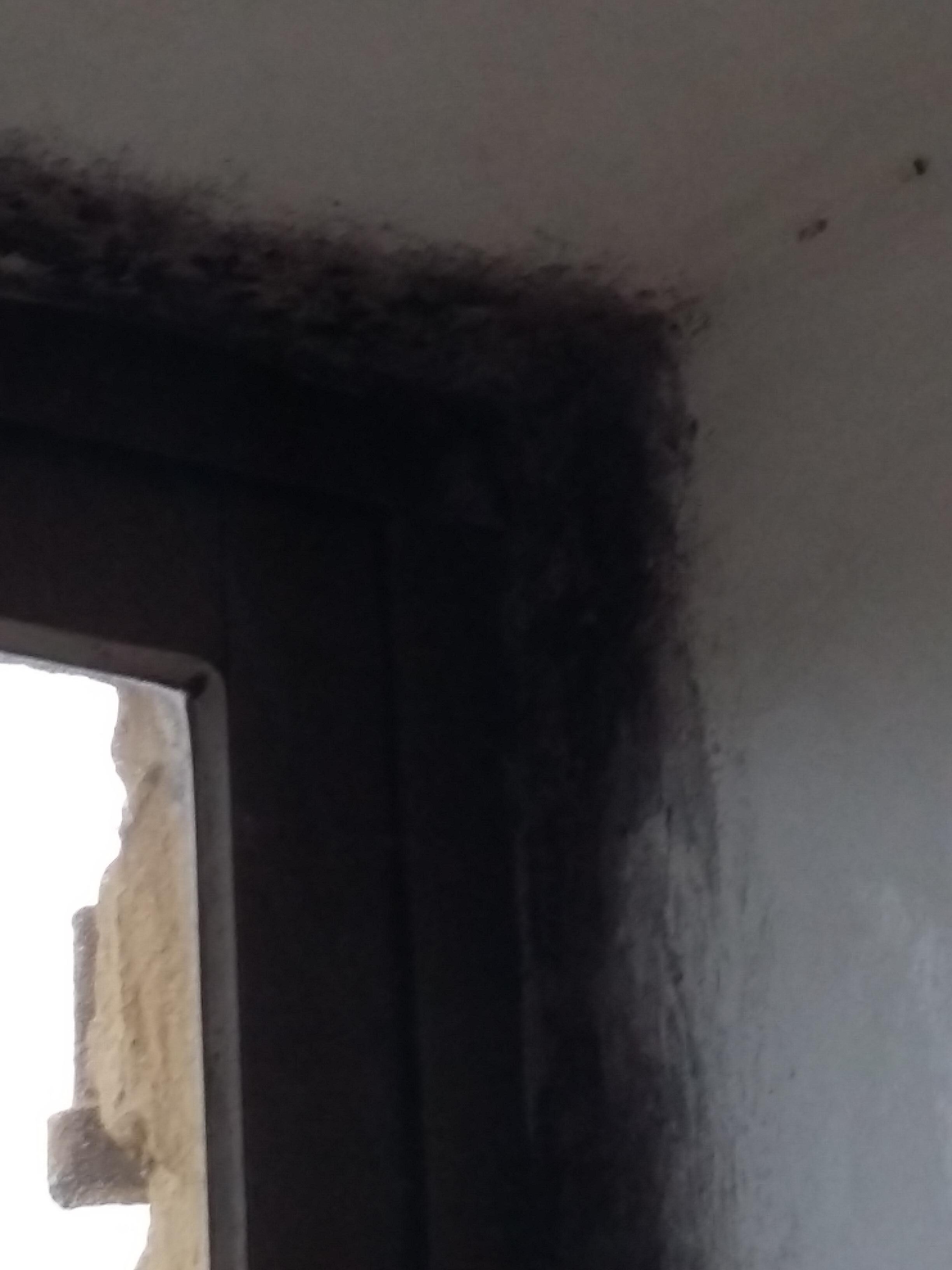 freaked out by the blackmould round the outer window unfortunately