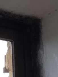 freaked out by the blackmould round the outer window unfortunately