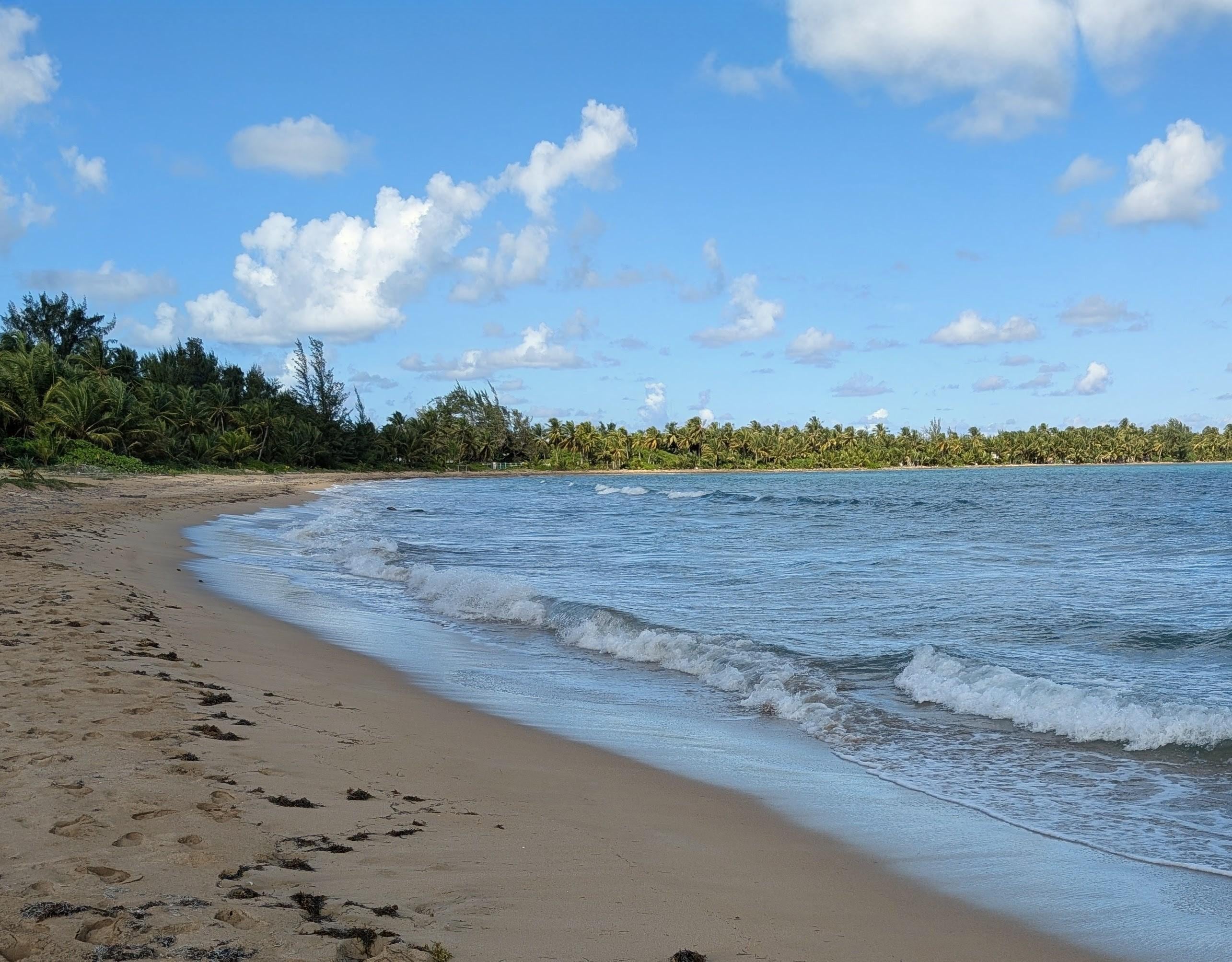 view to the left side from the e beach gate