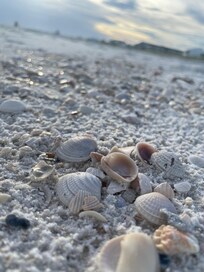 Mexico Beach