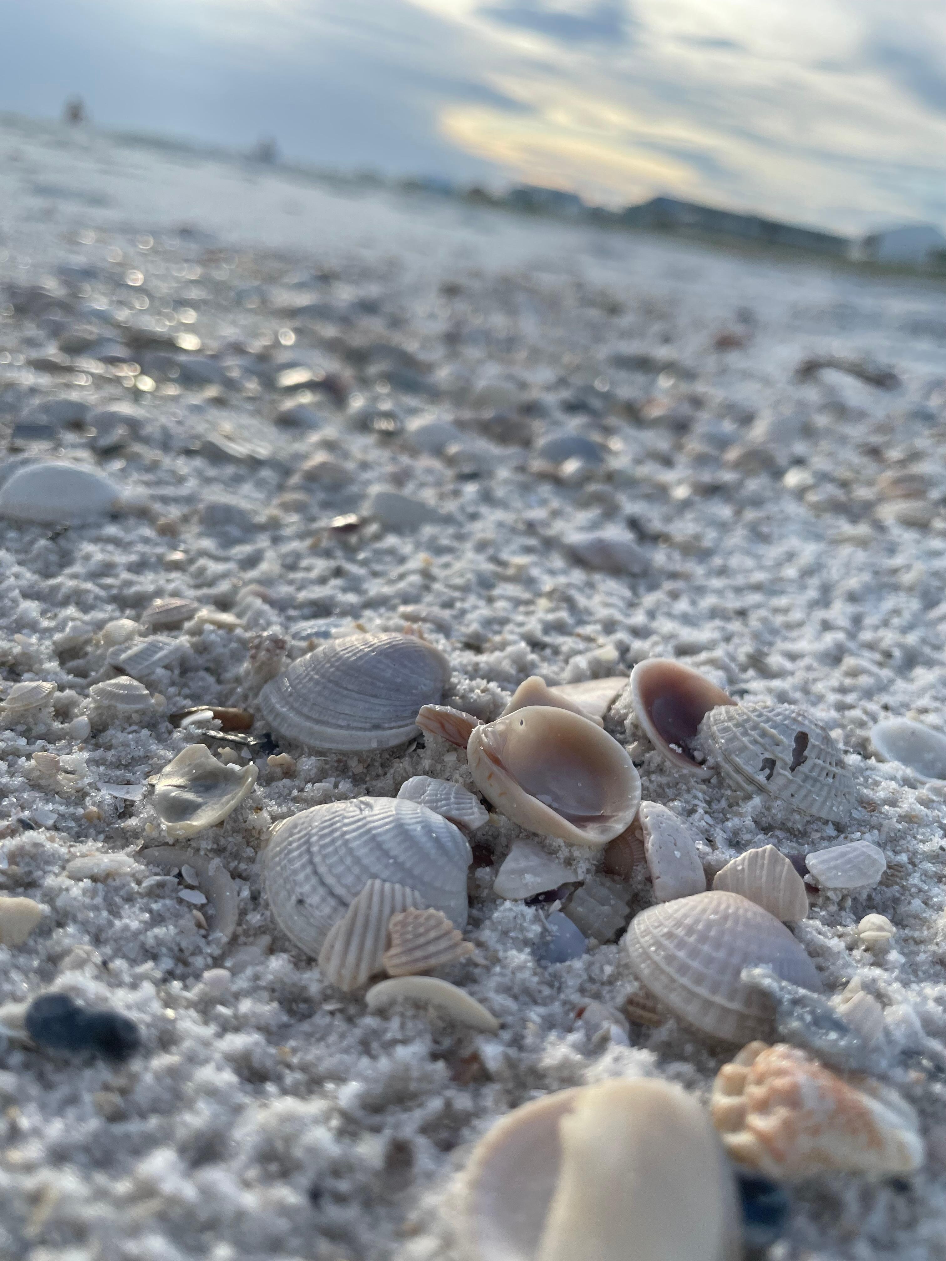 Mexico Beach