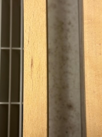 The mold on the AC unit