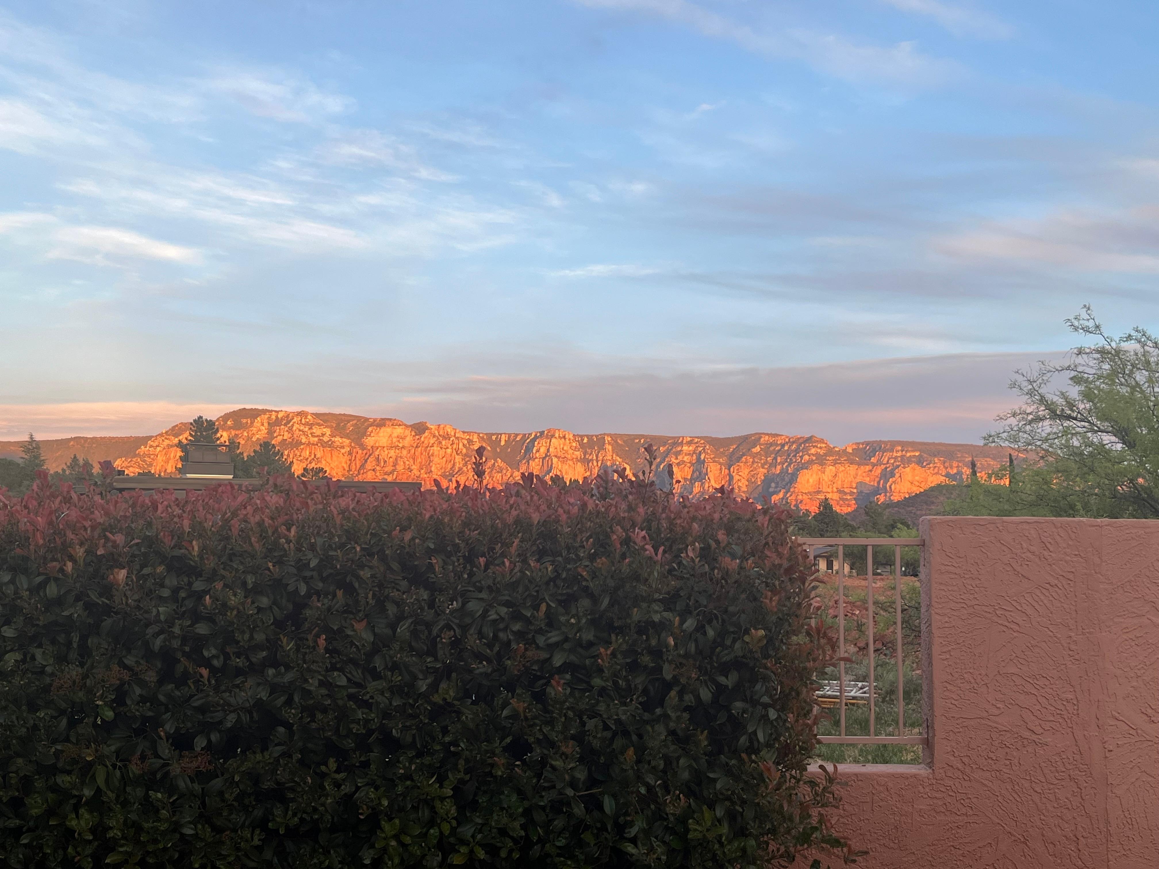 View from back patio