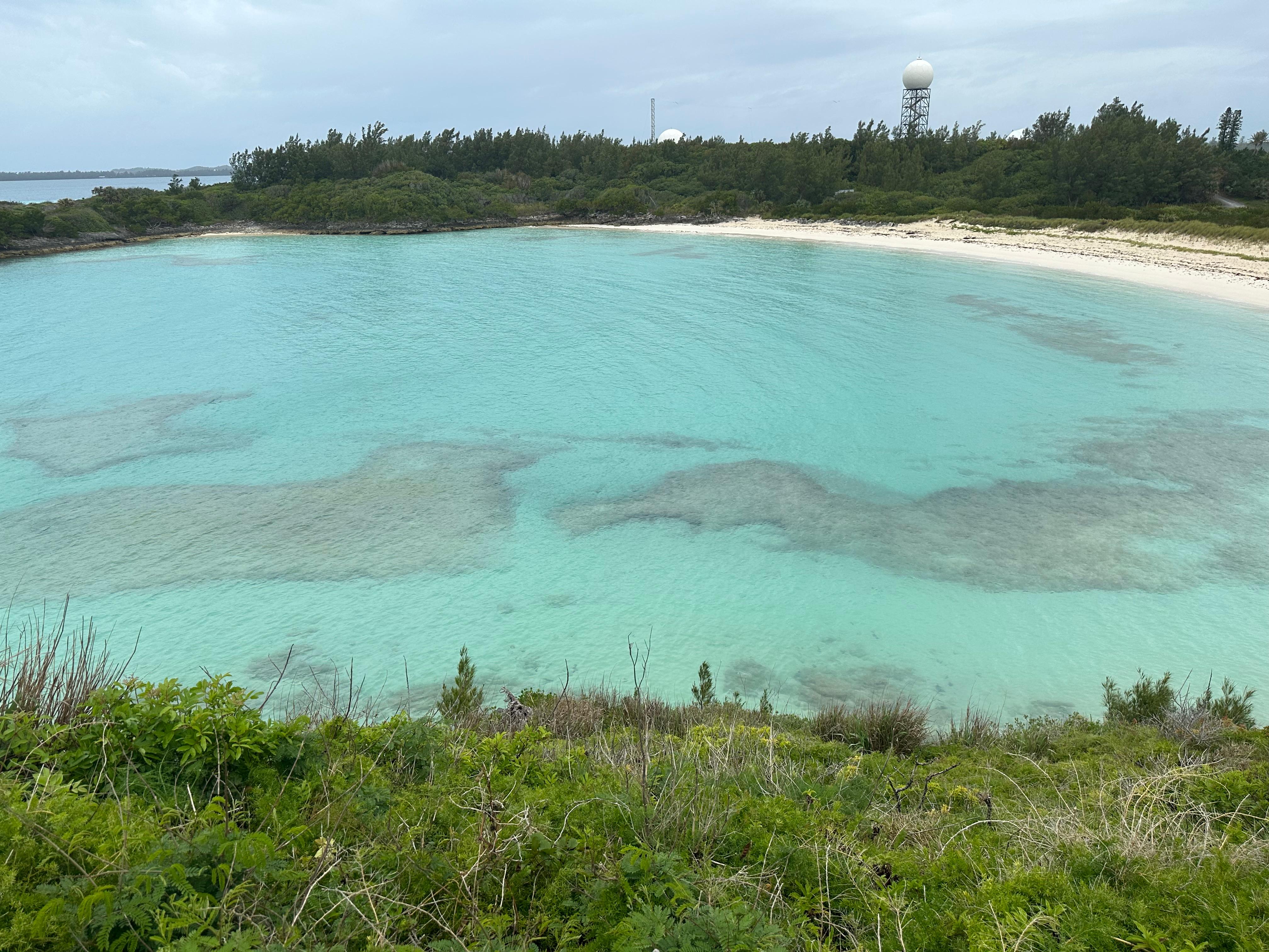 Coopers natural preserve 🕶️