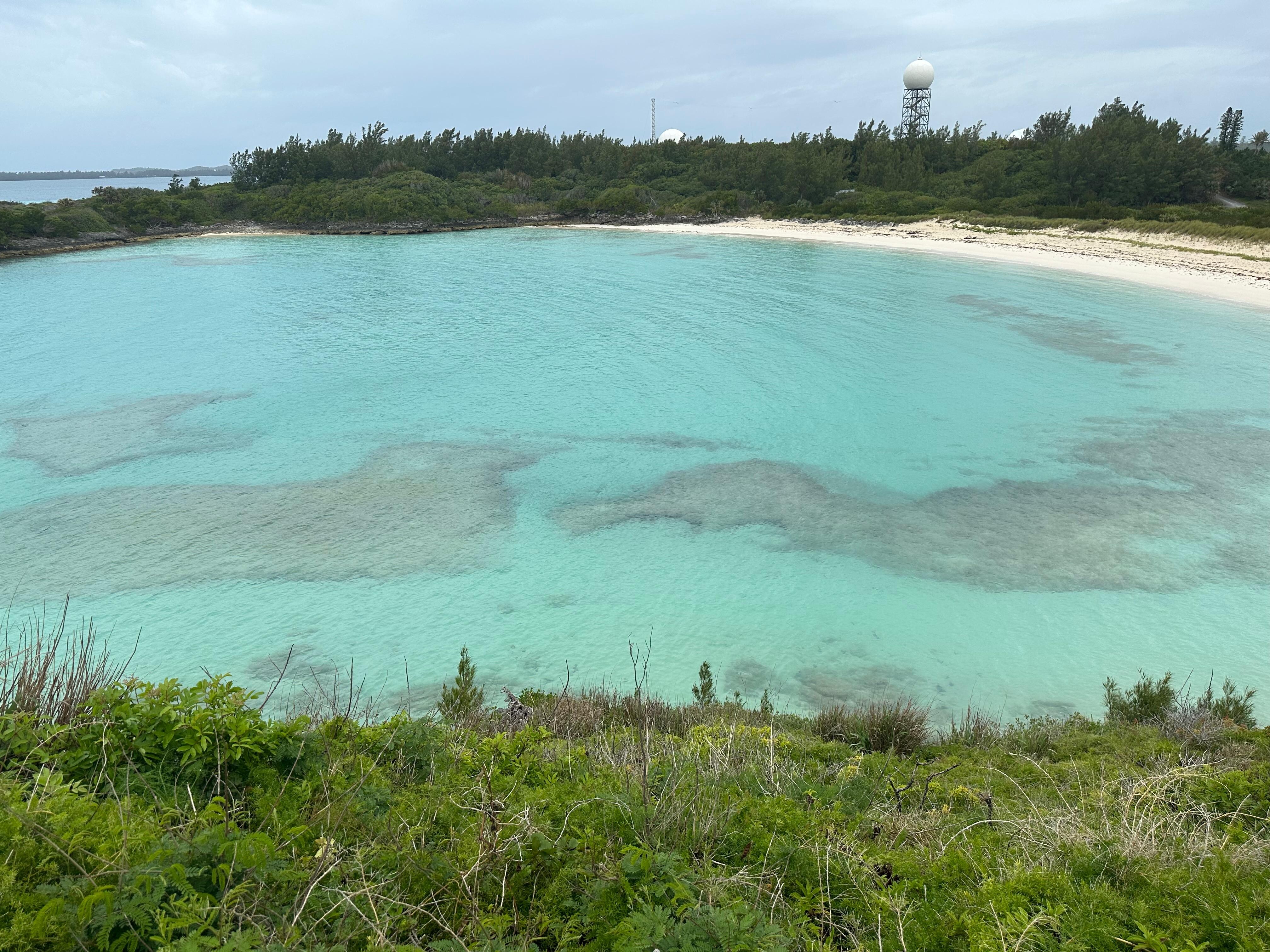Coopers natural preserve 🕶️