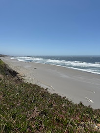 View from the back yard