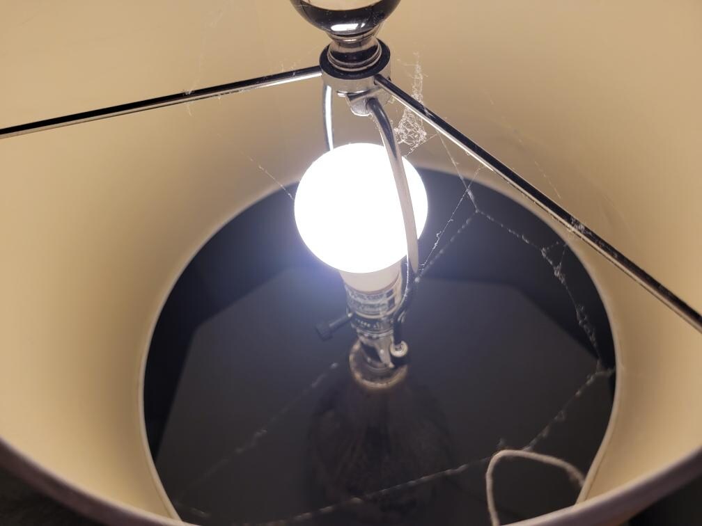 Cobwebs on light fixture