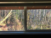 Morning view from room window