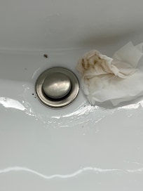 Bathroom sink unsanitary