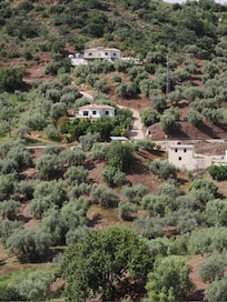 It is the middle property