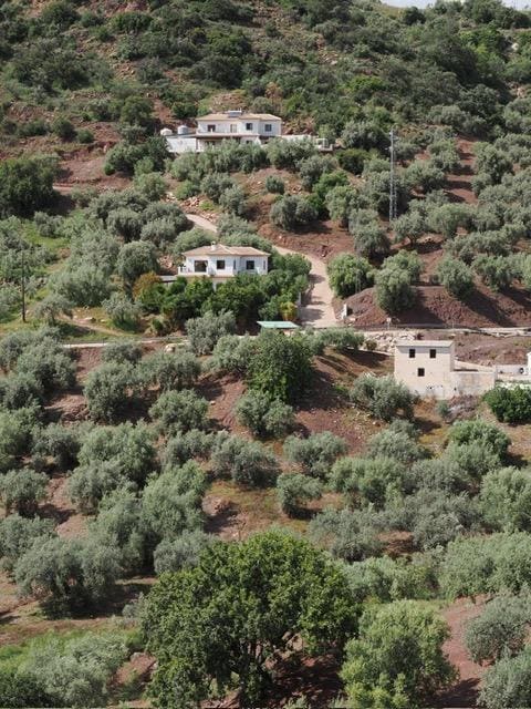 It is the middle property