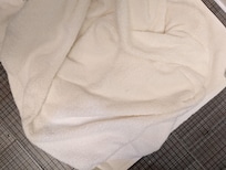 Hair in towel. Not ours.