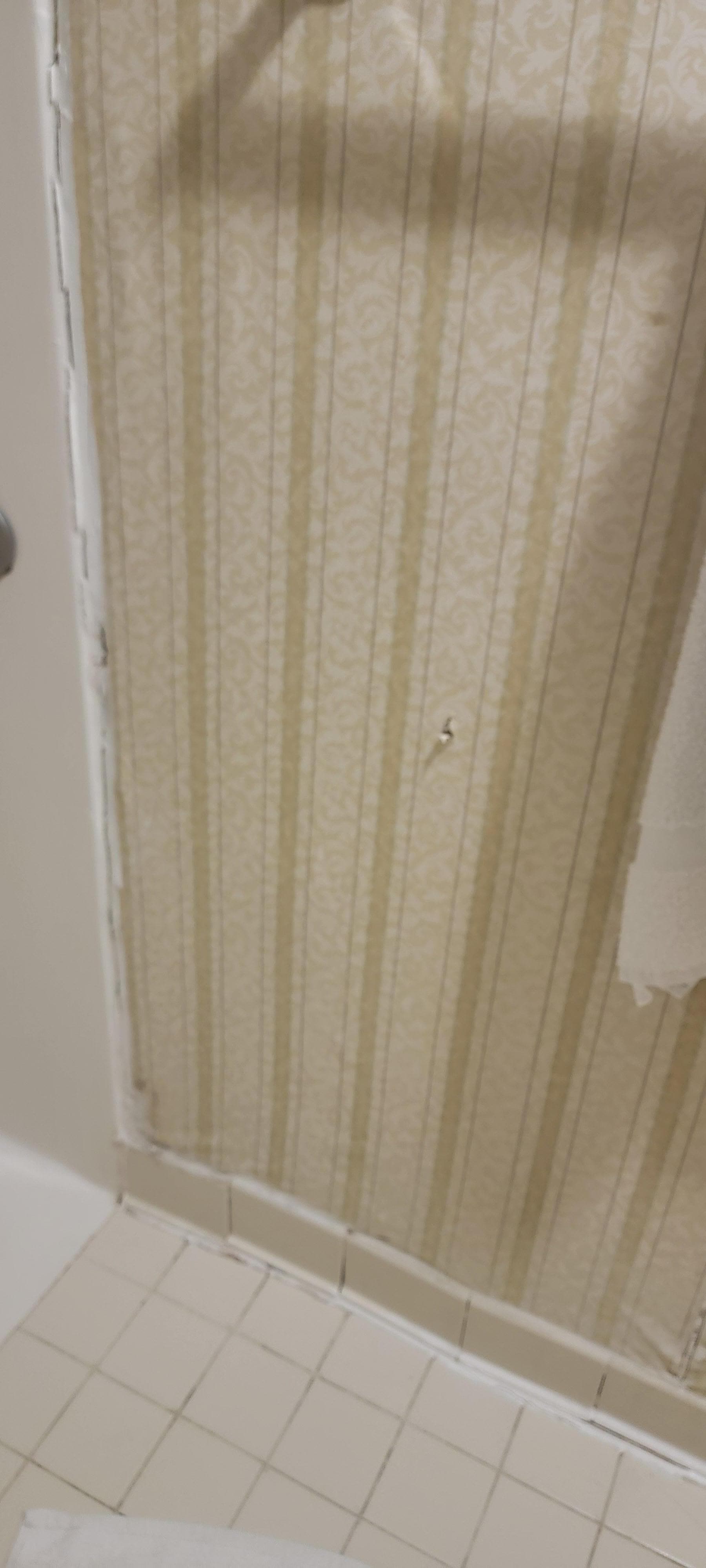 Peeling wall paper w/mold