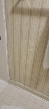 Peeling wall paper w/mold