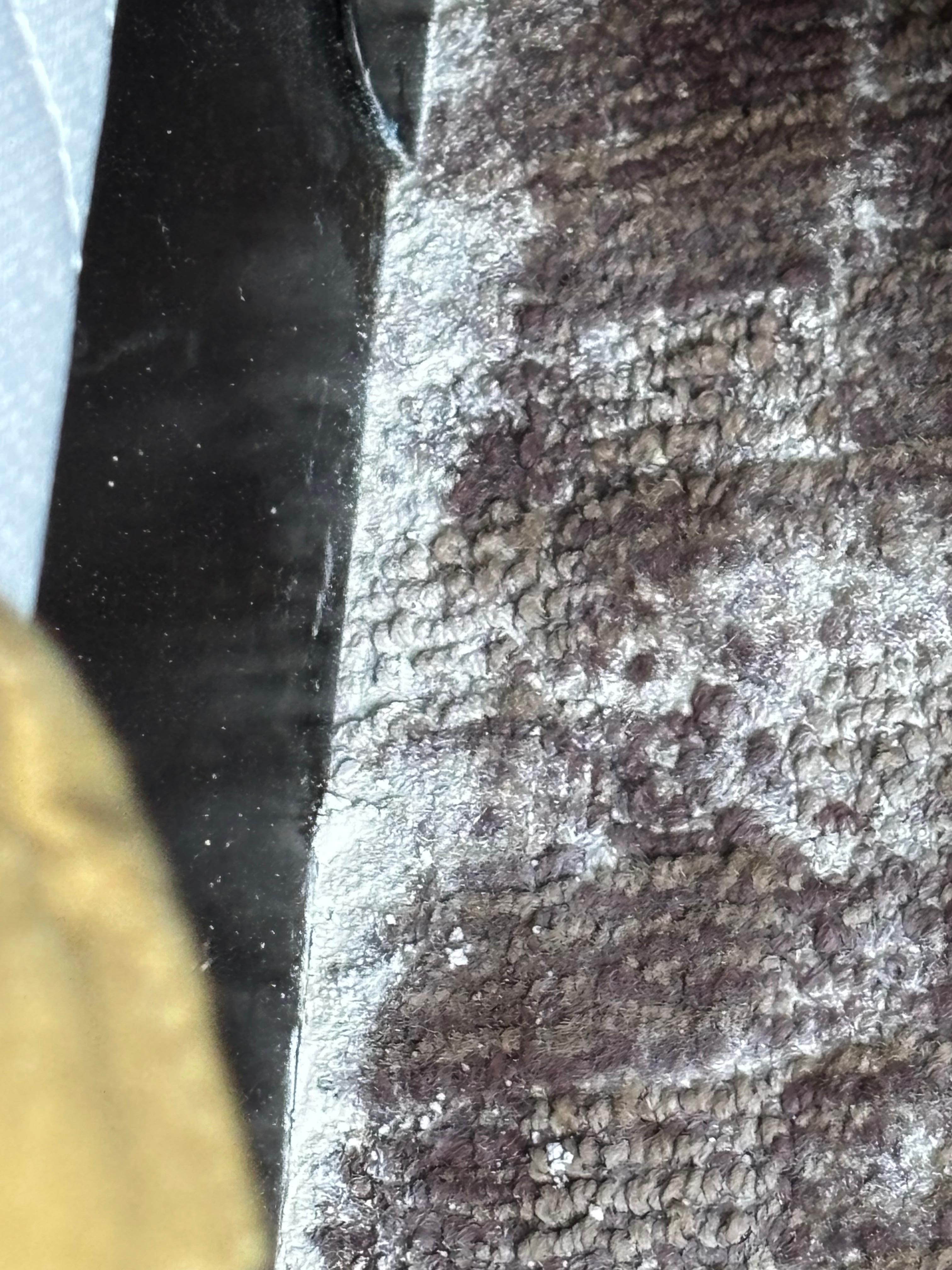 This was along the bed frame. No idea what it was. 