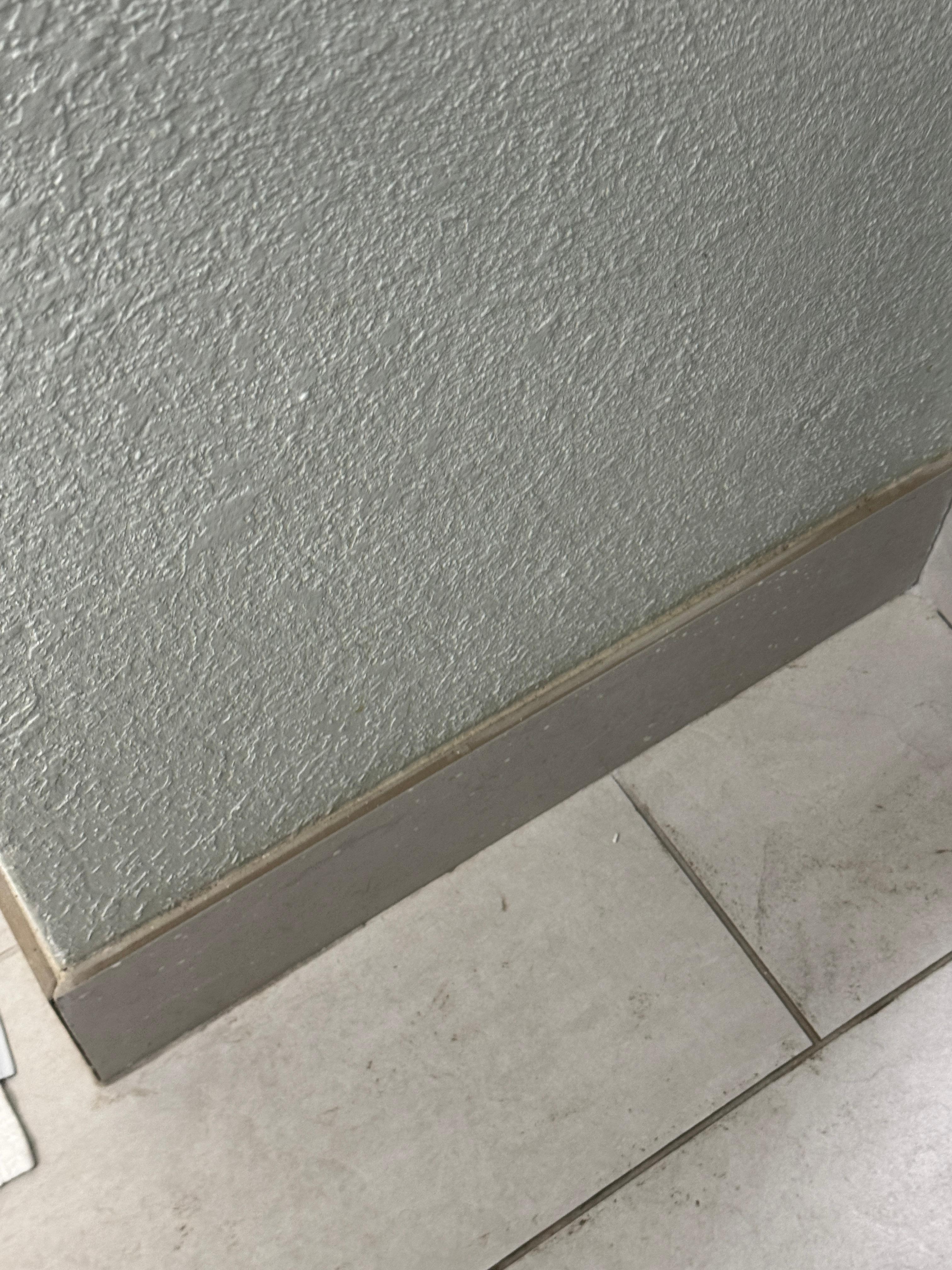 Dirty molding coming off. 