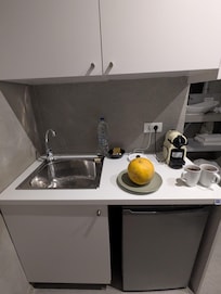 Fridge and sink, kitchen storage