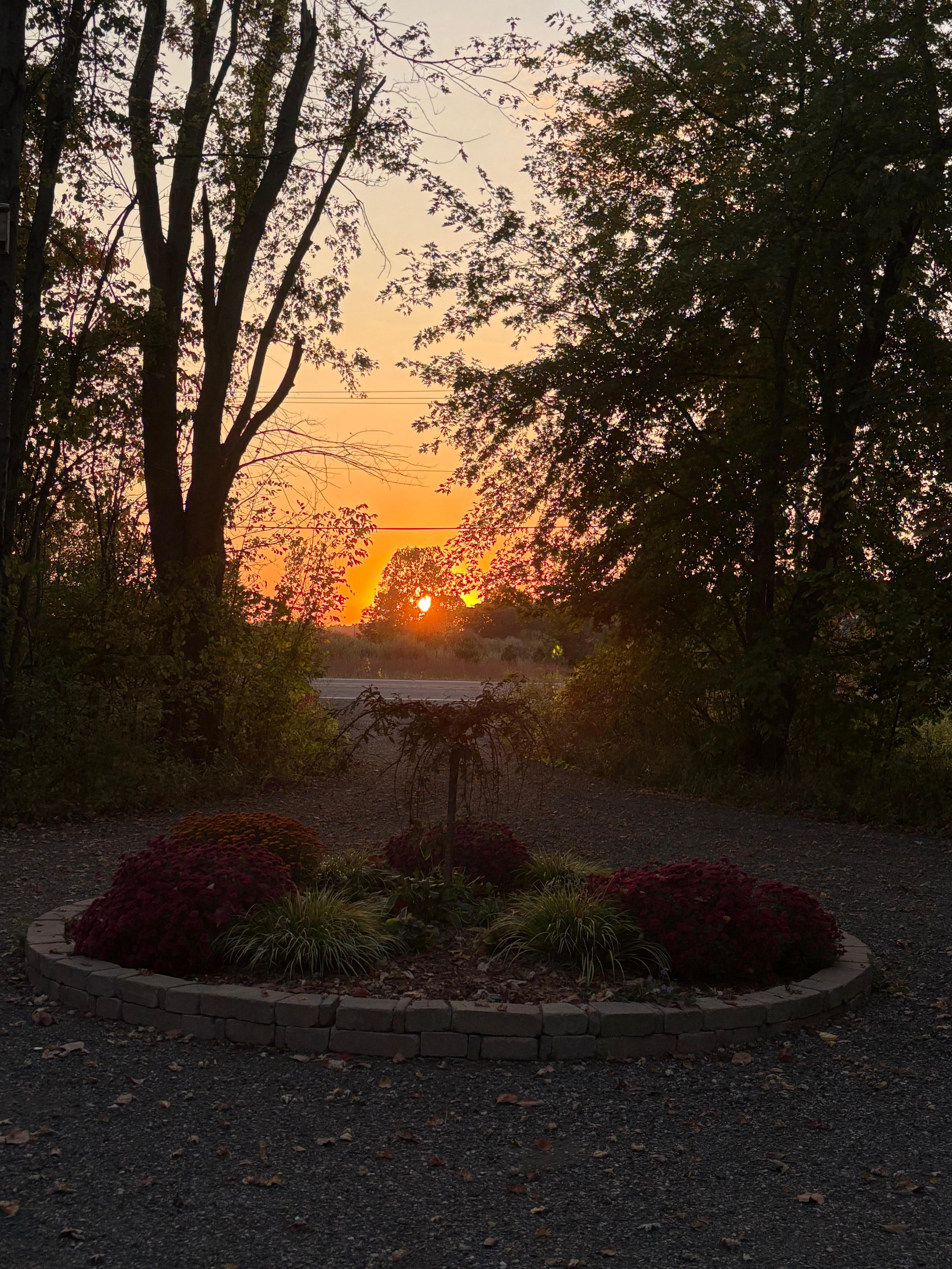 The sunset from the front!