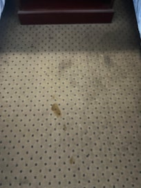 Disgusting carpet