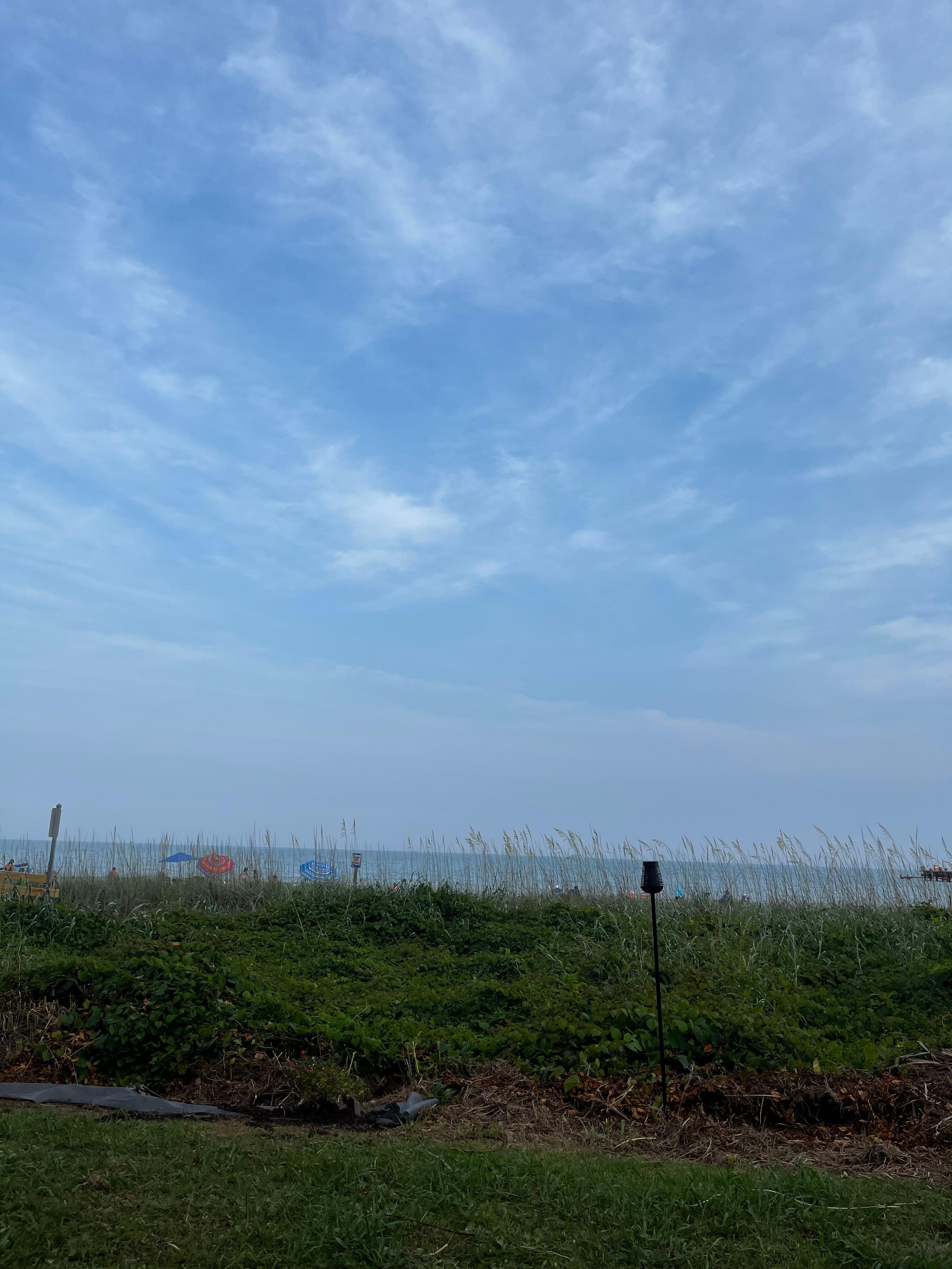 From the lounge chairs 