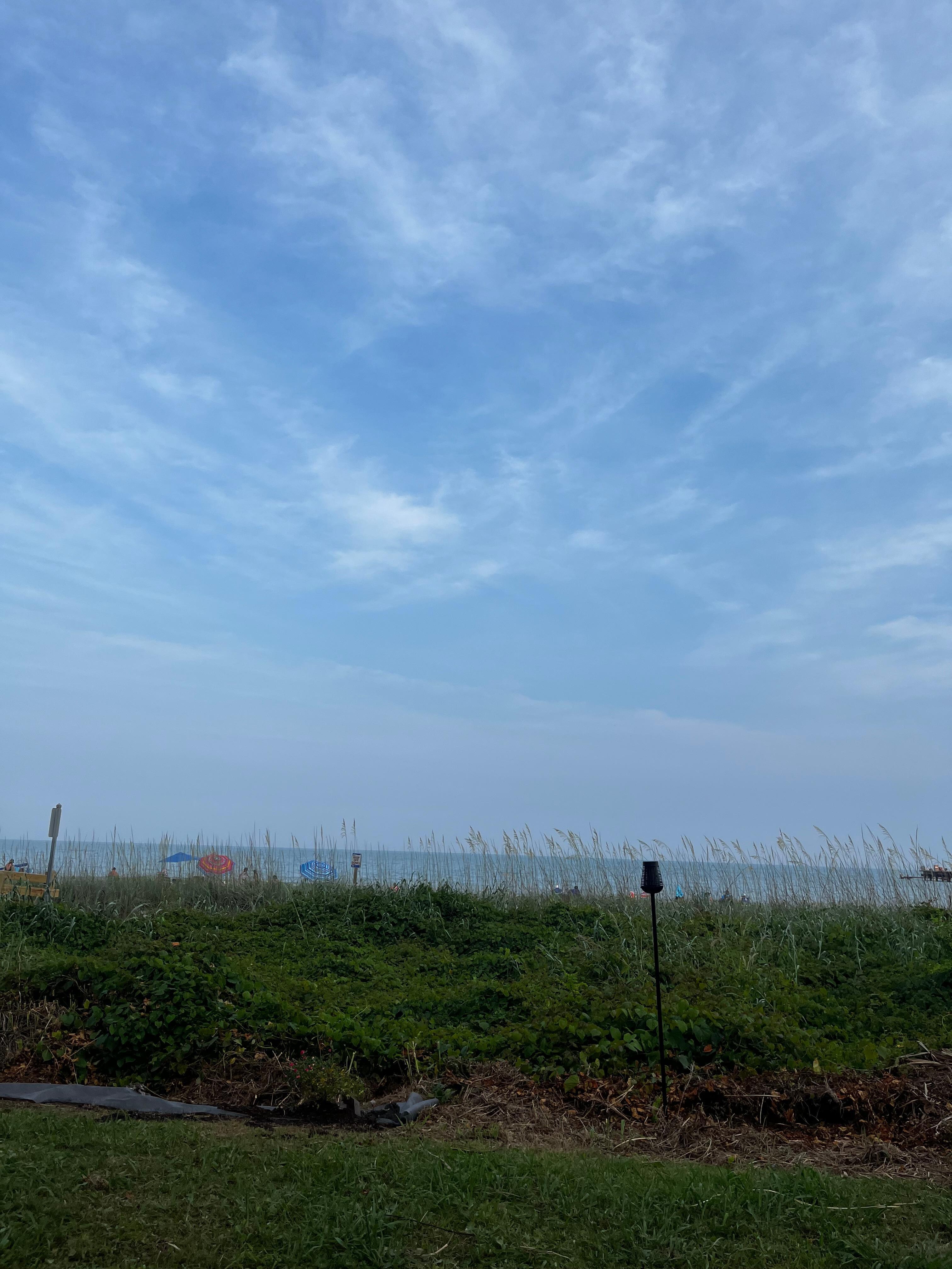 From the lounge chairs 