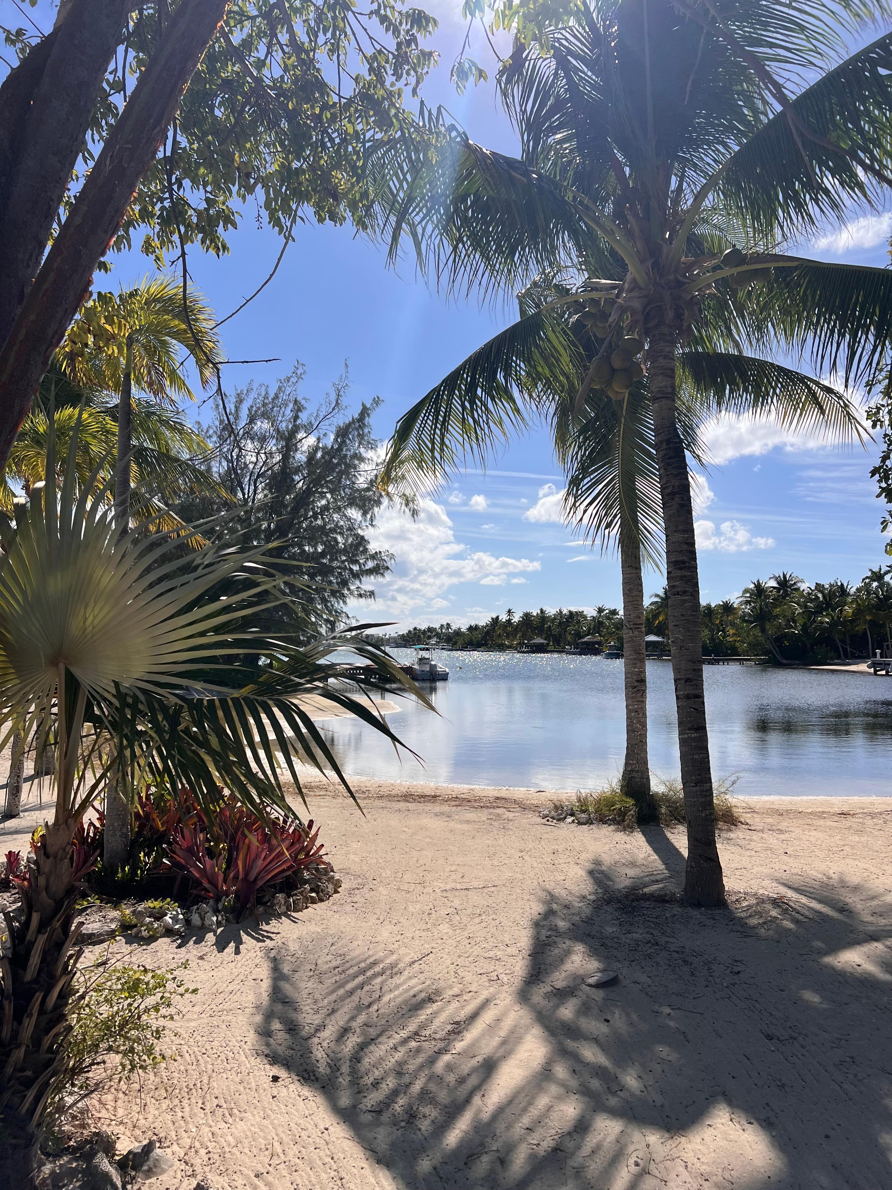 View from our covered backyard porch. 