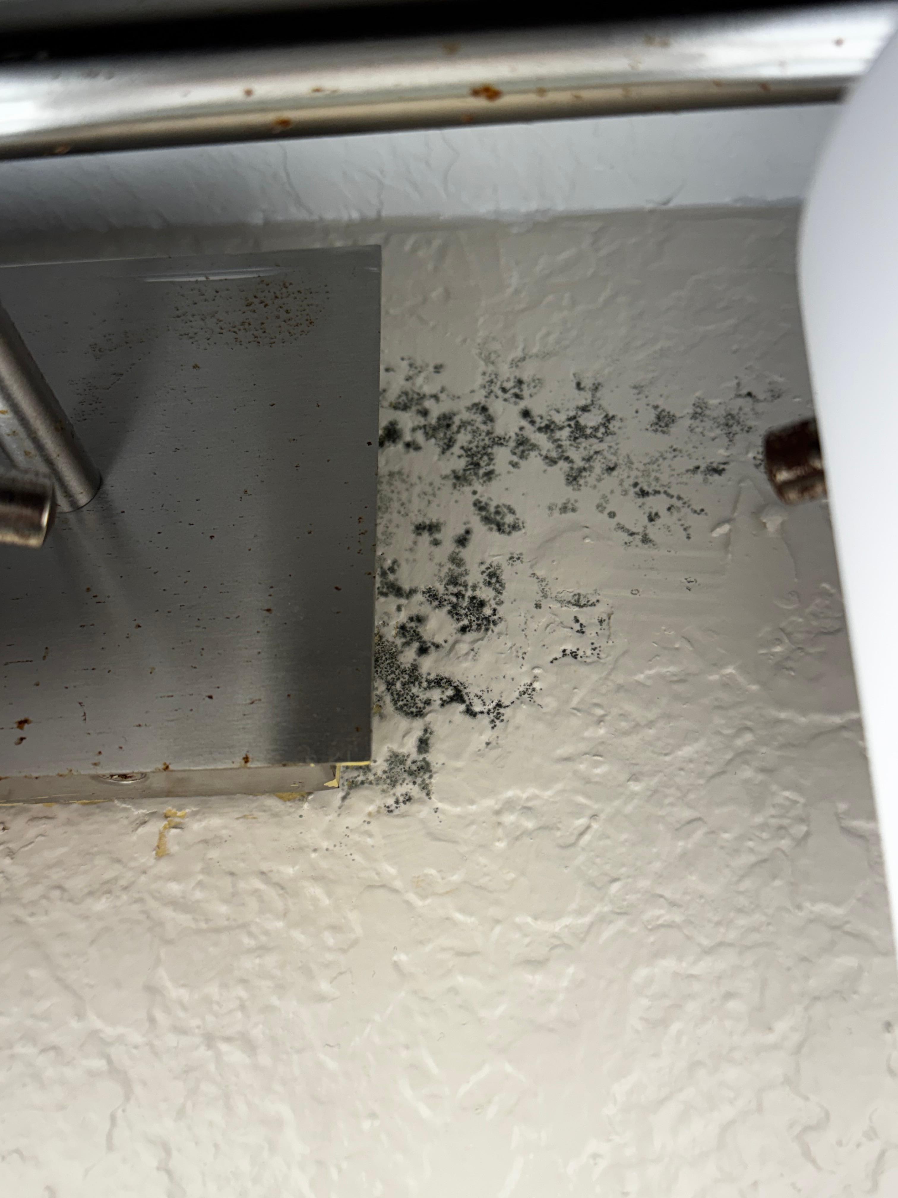 Mold in bathroom around lighting fixtures.