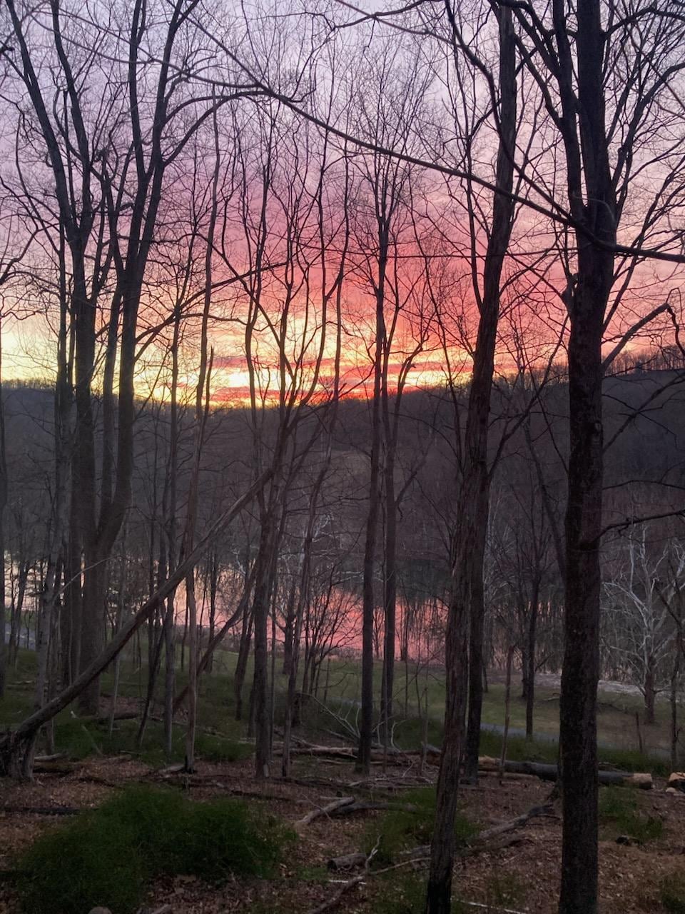 Sunrise from the deck.