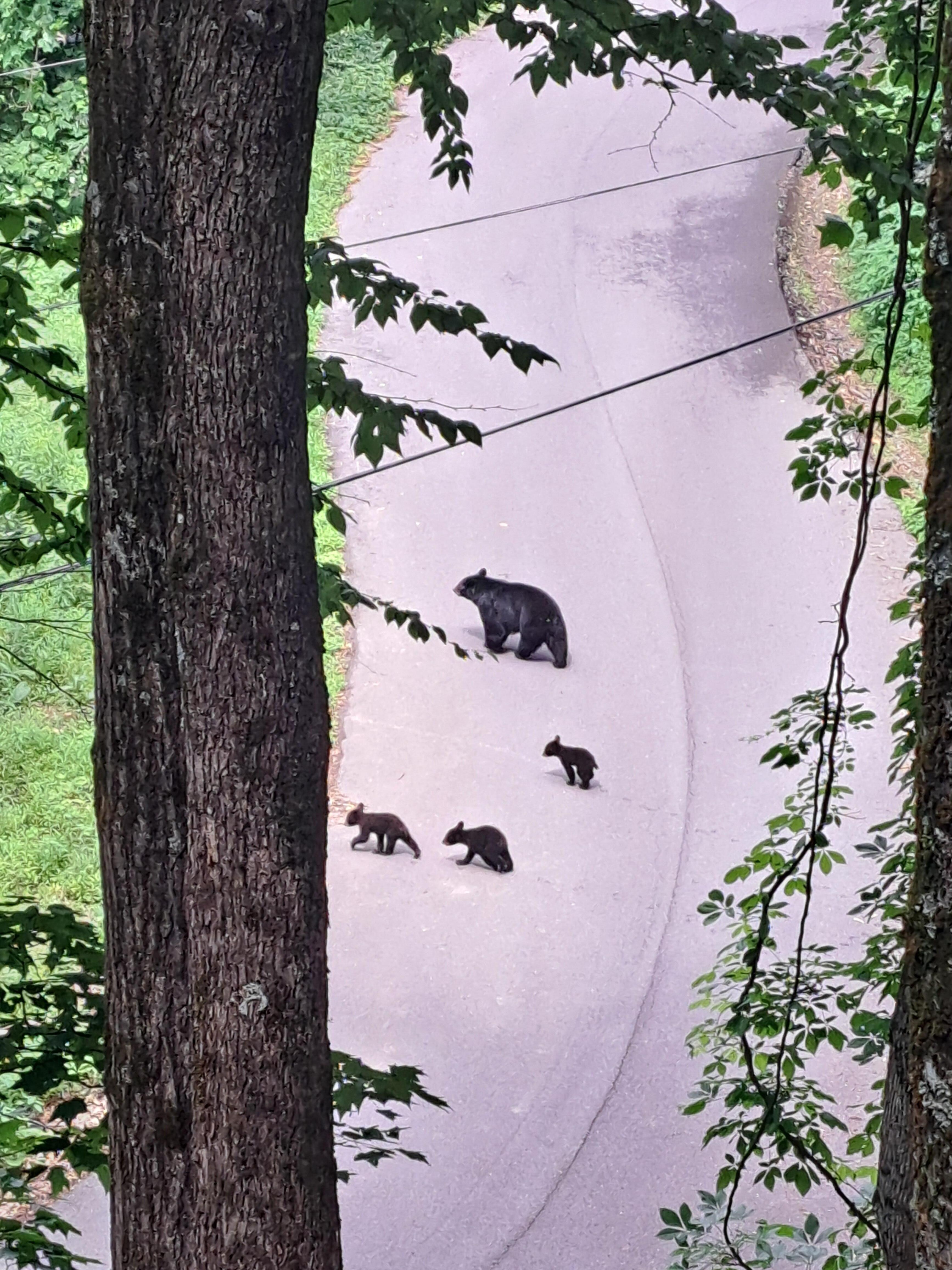 From the porch.
