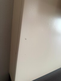 Ants going up the wall