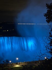 Celebrating Toronto, Toronto Blue Jays in the World Series