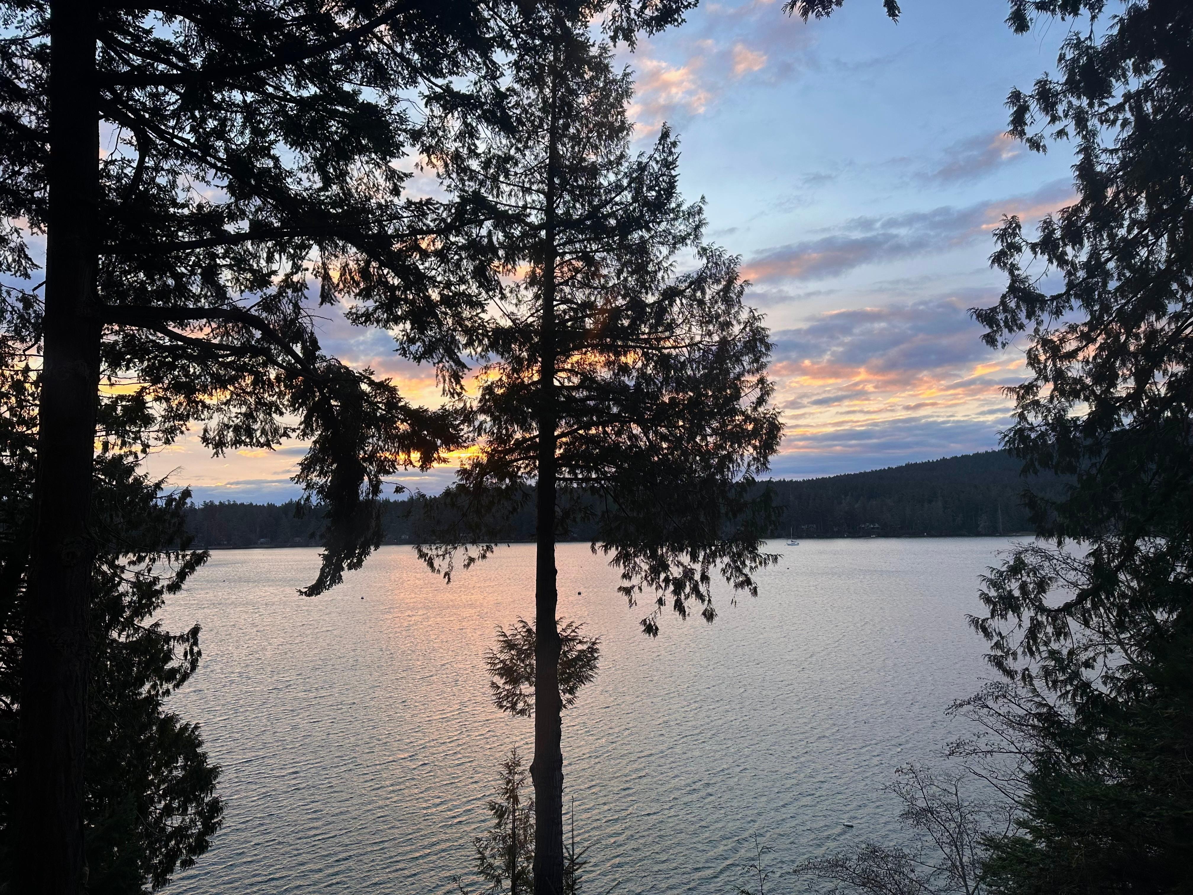 Sunrise from the back deck 