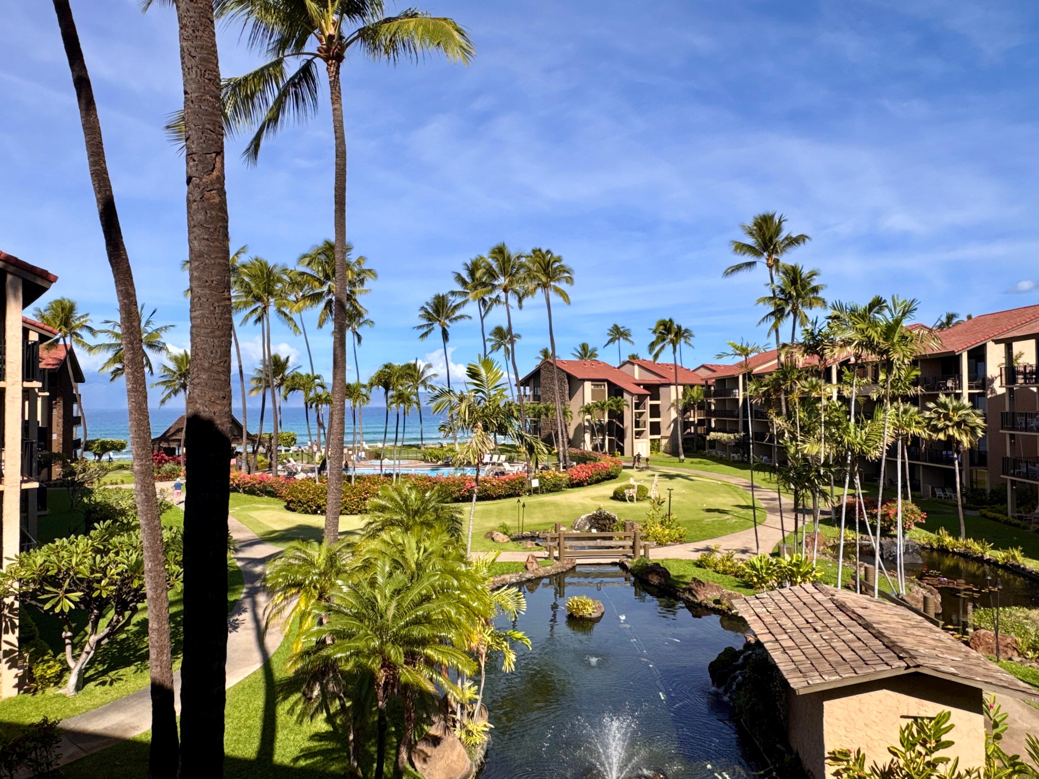 Sunny view from balcony. 