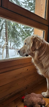 La fenêtre préférée de notre bébé