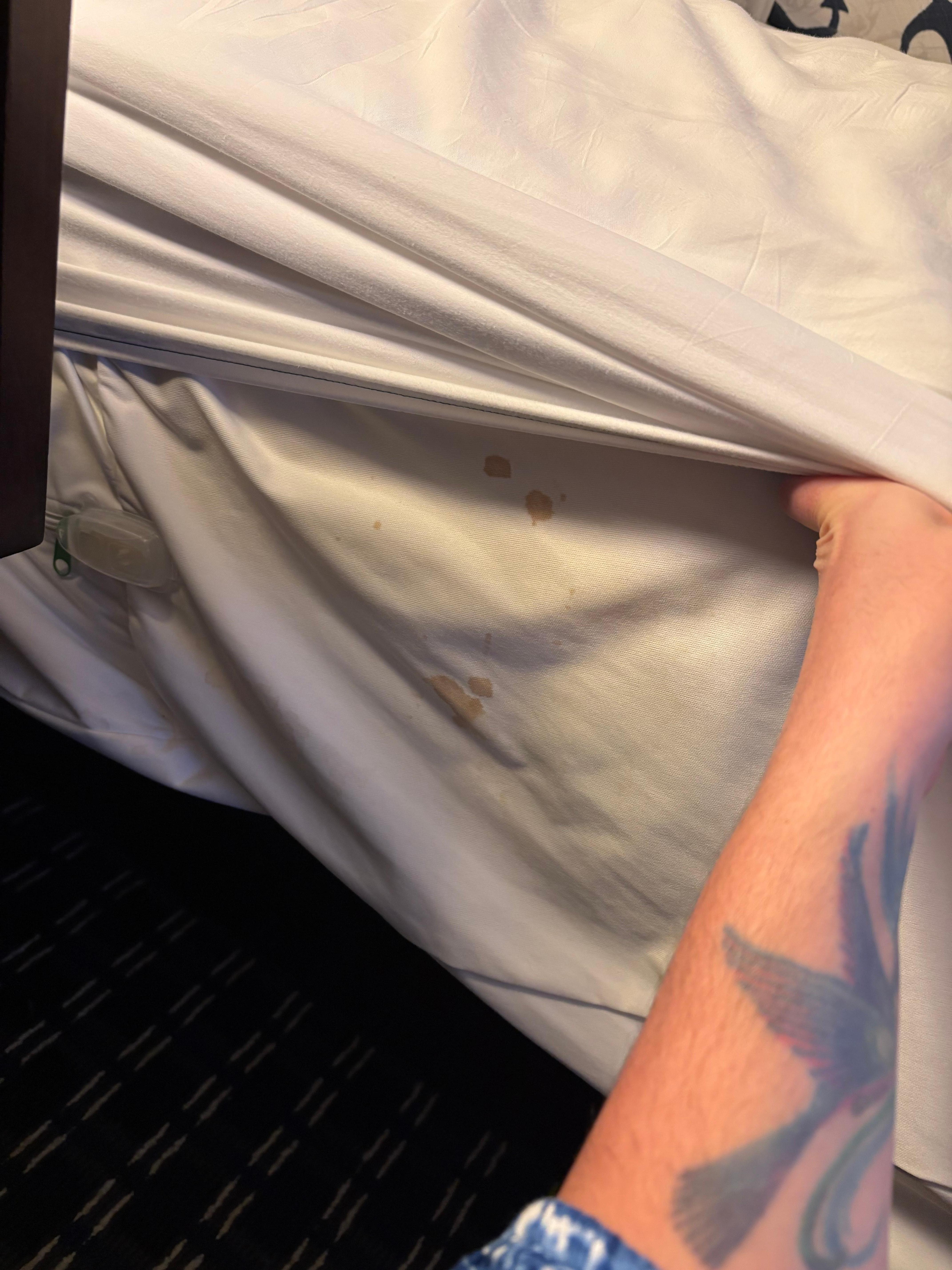 Looked under the sheets to see these disgusting stains