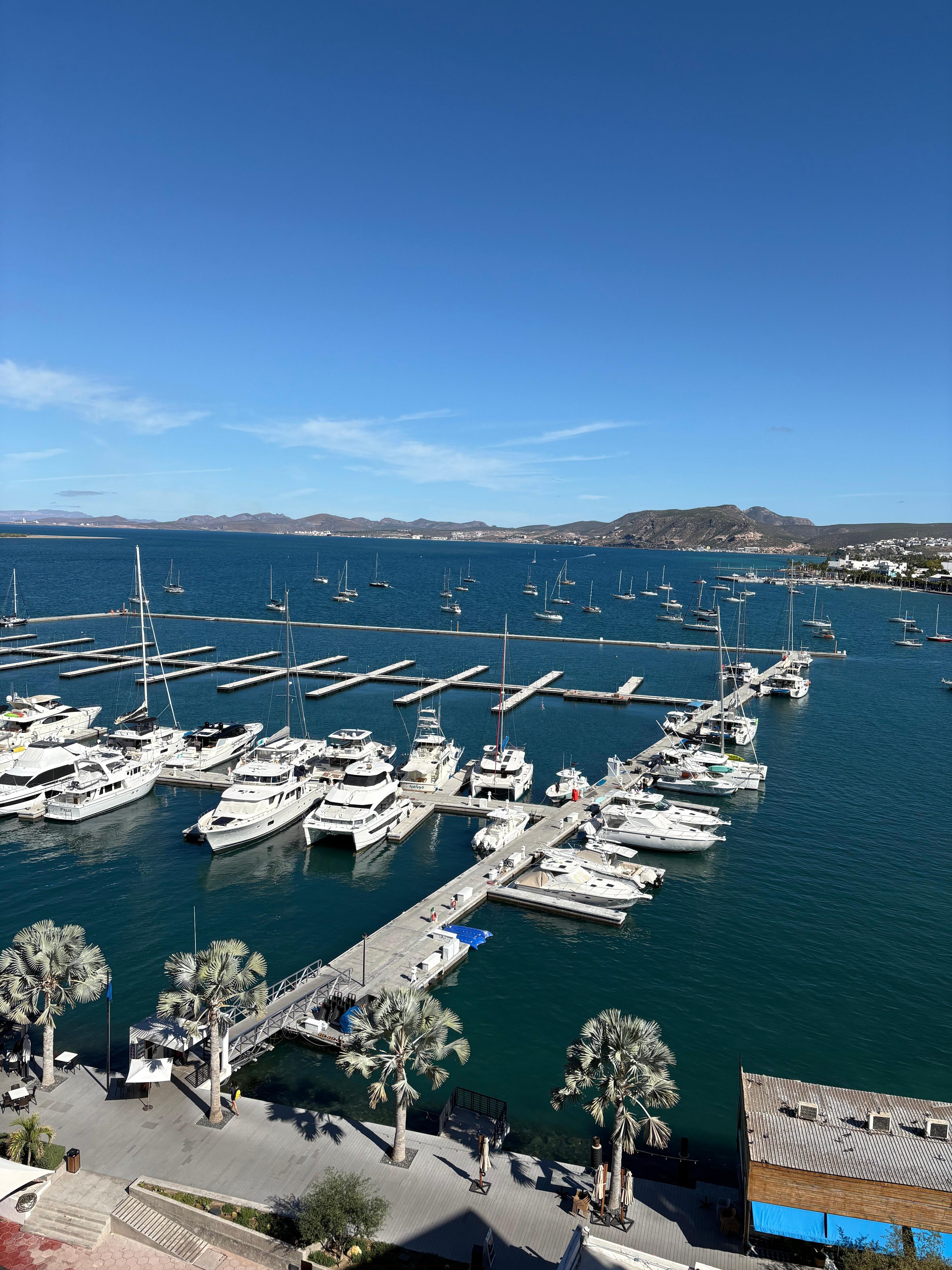 Roof top view of marina and sea of cortez.