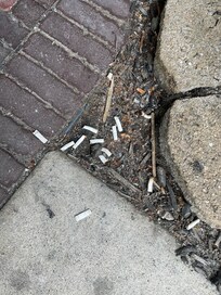 Cigarette butts outside entrance of hotel.