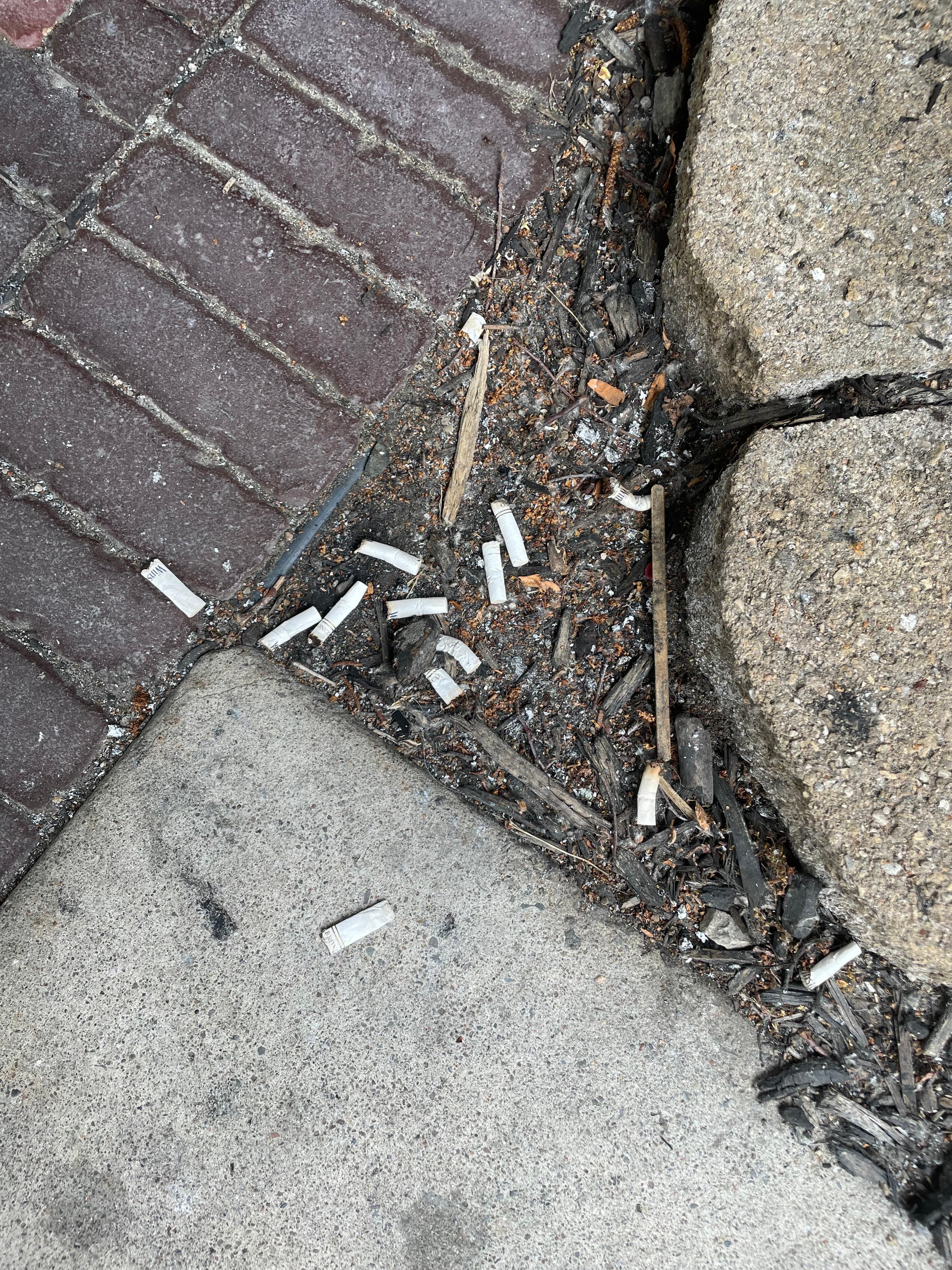 Cigarette butts outside entrance of hotel.