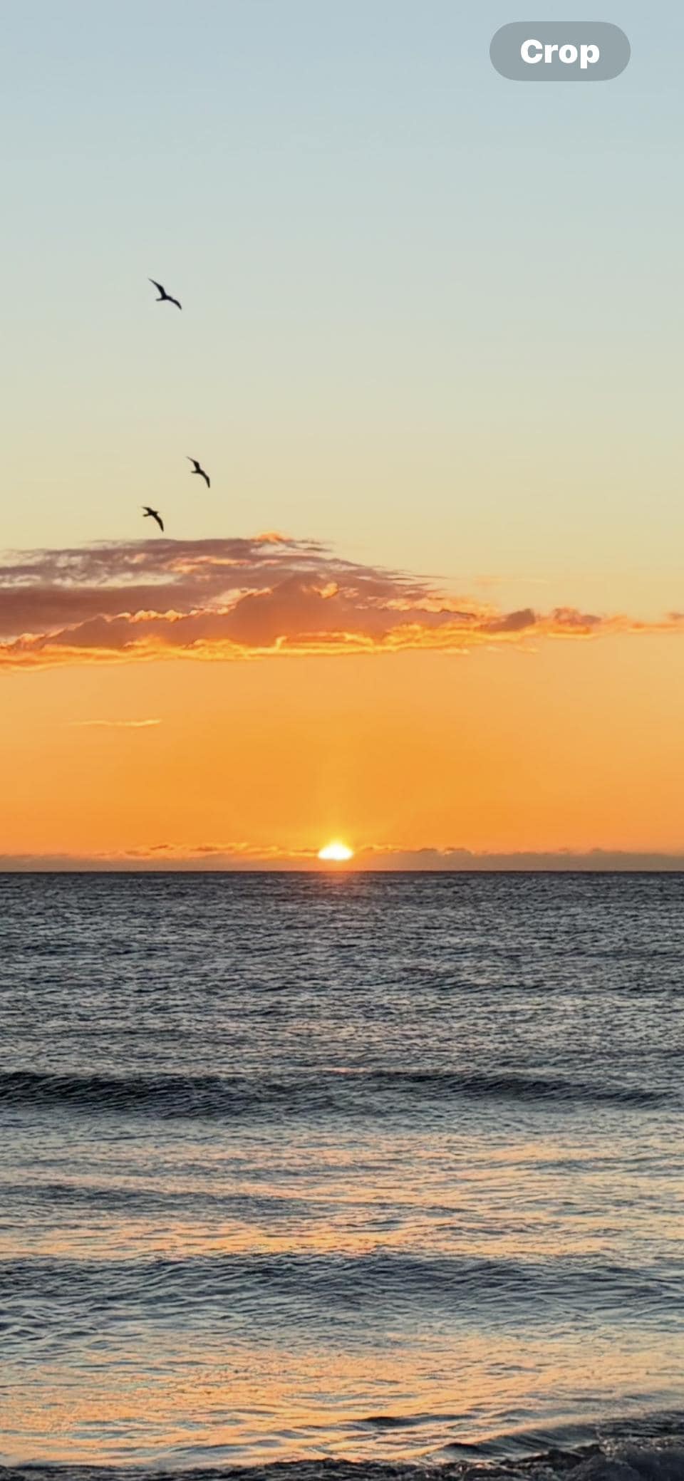 Sunsets are beautiful!