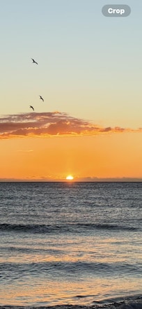 Sunsets are beautiful!