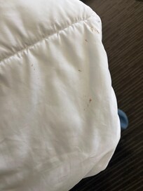 Dirty comforter that they refused to change out