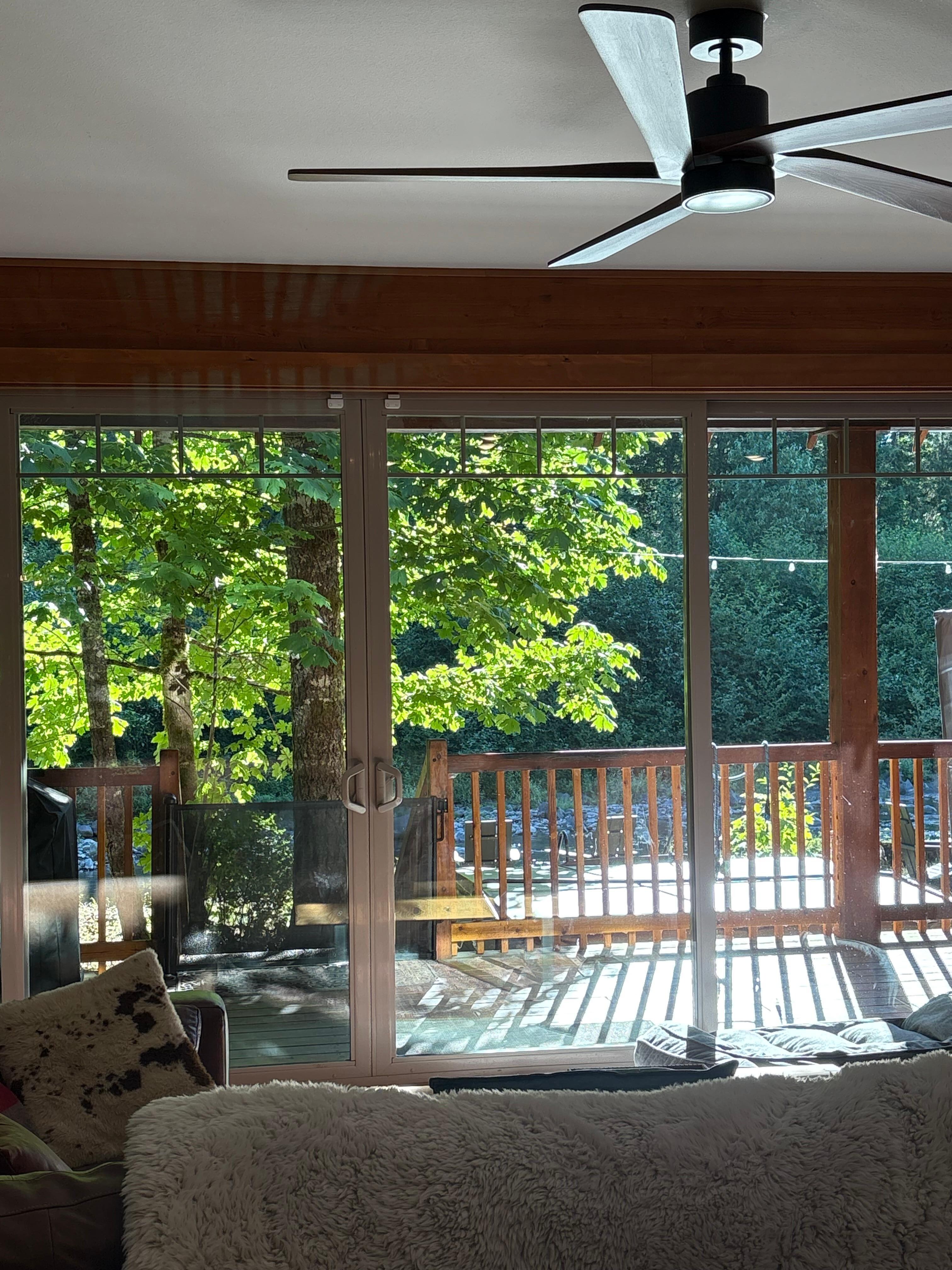 View from the kitchen 
