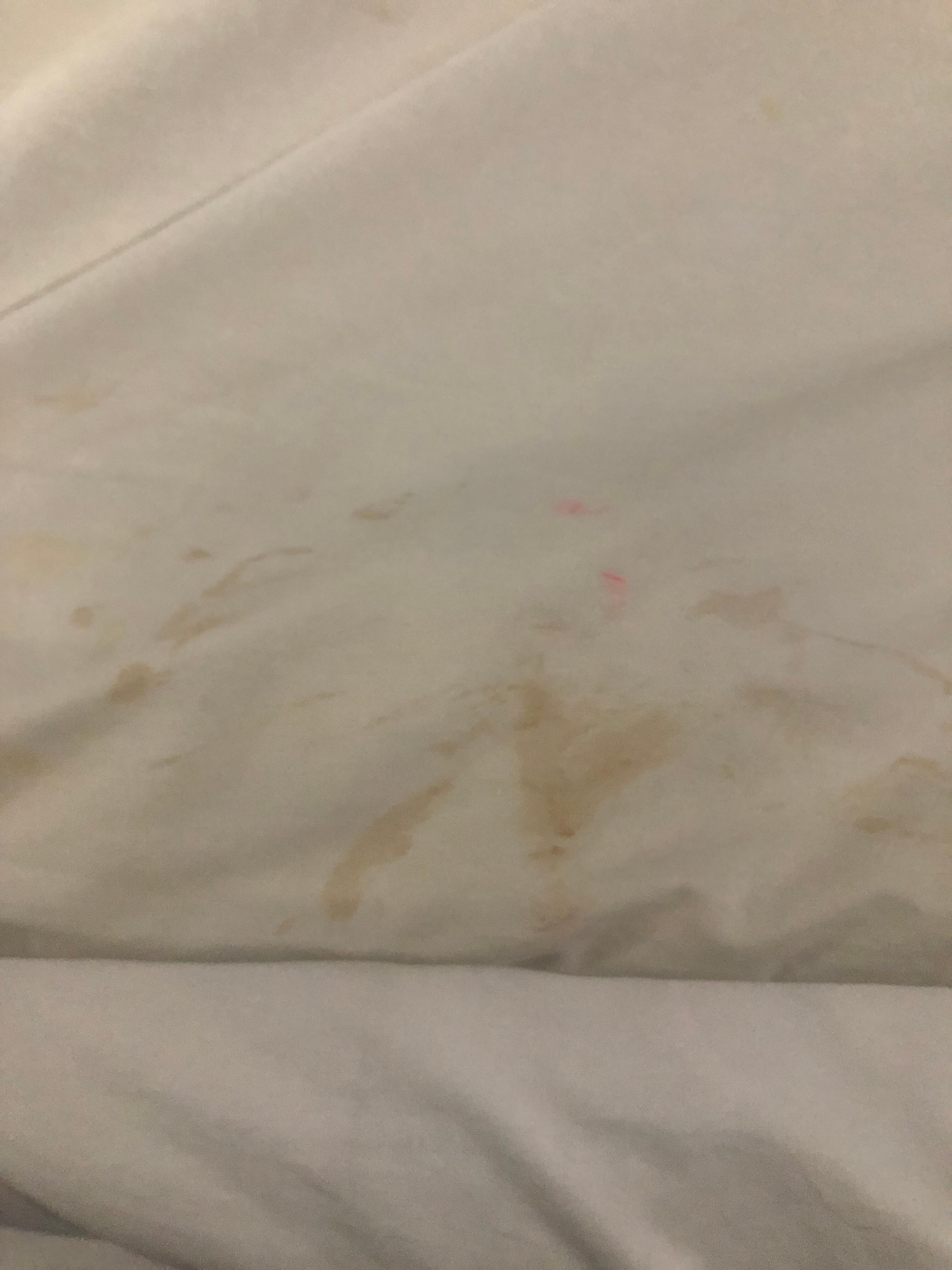 Stains on bef