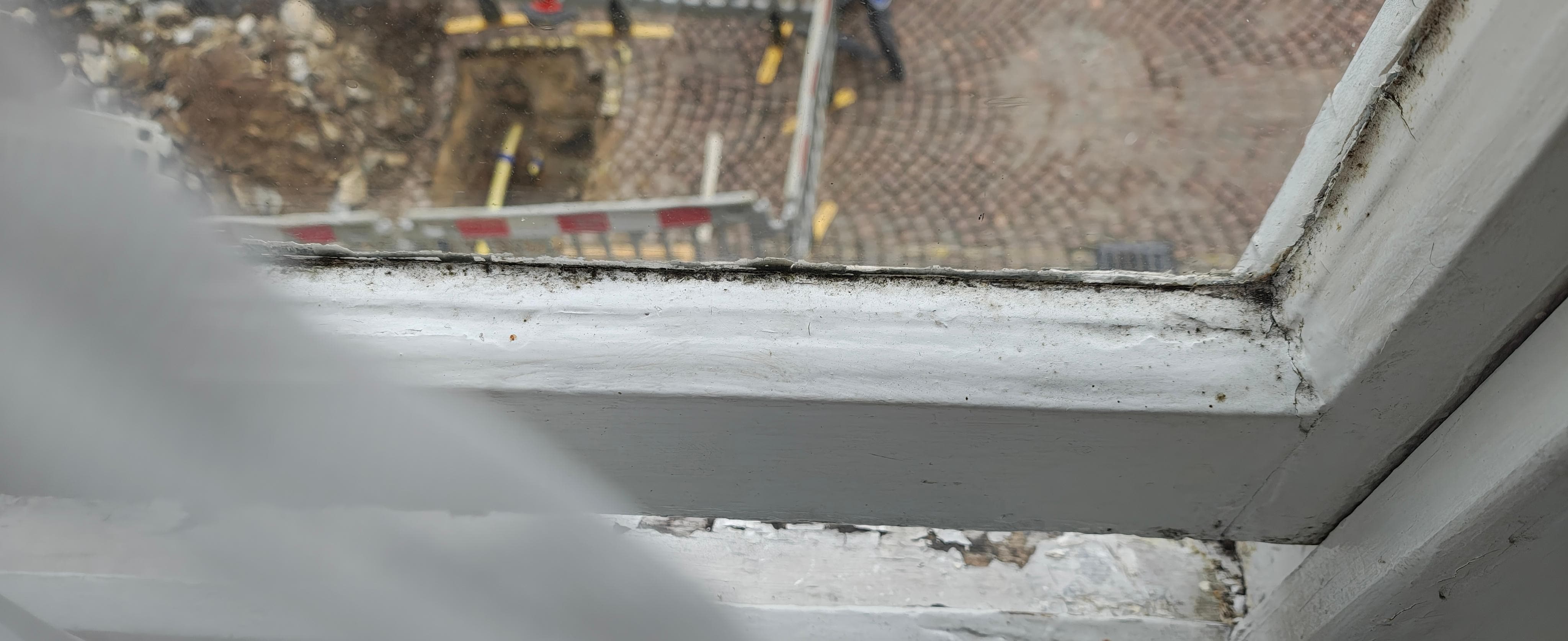 black mold/lack of proper cleaning and ventilation on windows