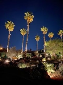 The landscaping at night