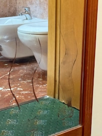 Mystery brown smears on mirror